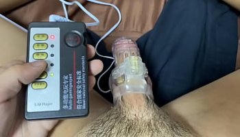 porno sexe femmes animeux