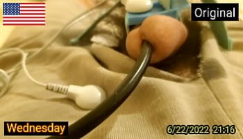 une femme qui refuse de faire le sexe