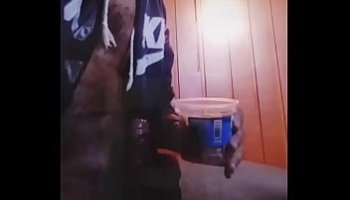 sex comme le chien