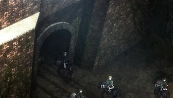 natural busty stunning escort