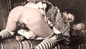 nik avec ass algerien