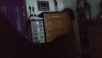 homme qui baise son chienne