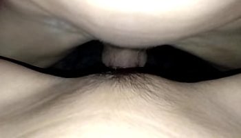 bunny video