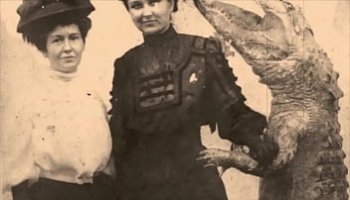 comment baiser une cougar