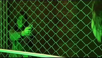 famme baisse avec le cheval