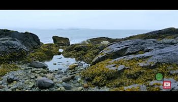 sportif baise avc une fille